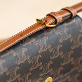 Celine Claude Shoulder Bag in Triomphe Canvas and Calfskin