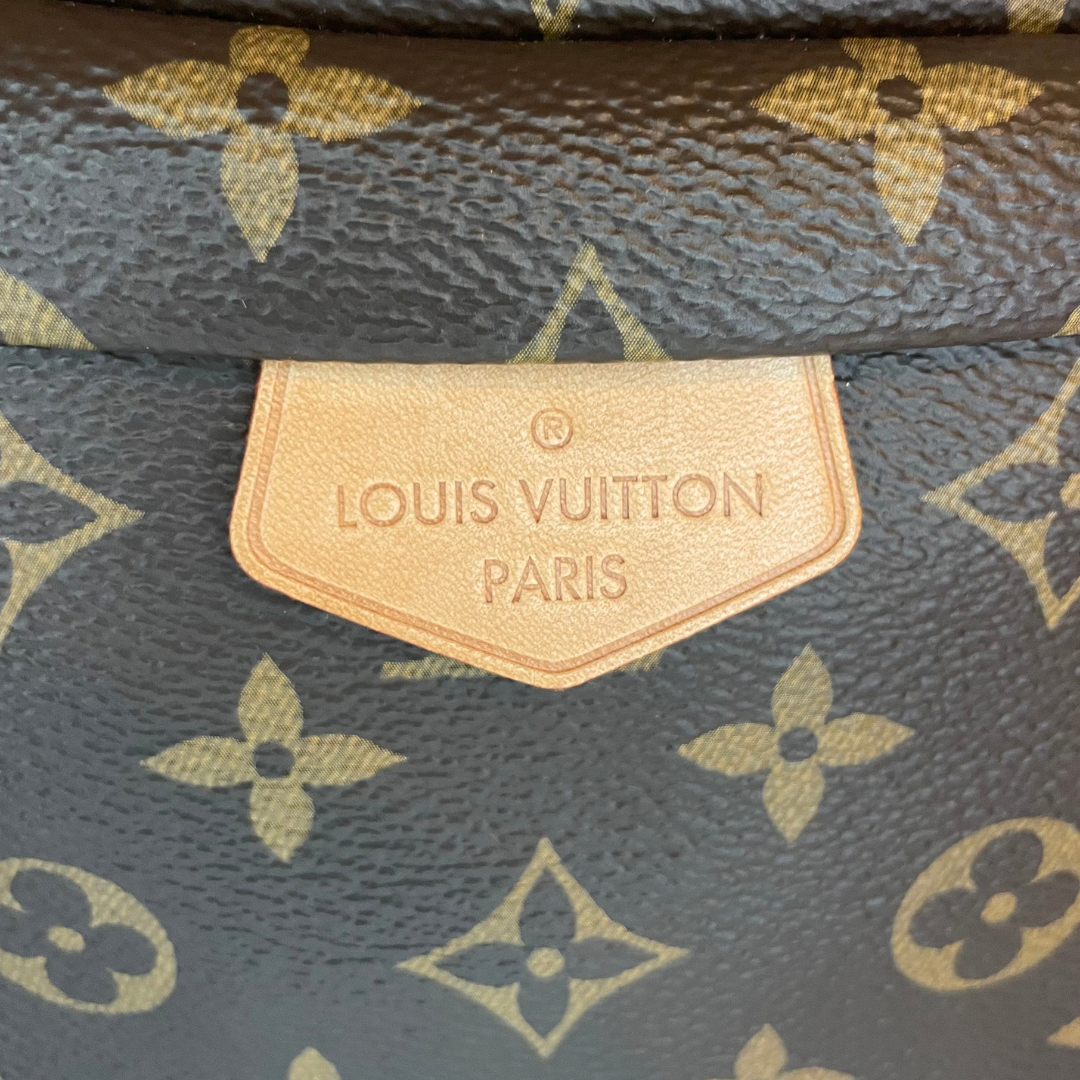 Louis Vuitton Monogram Bum Bag - 2019